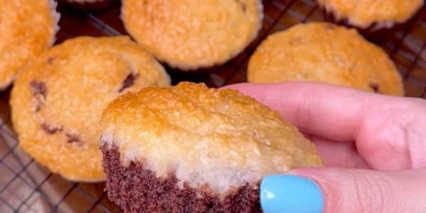 تصویر 4 از قیمت خرید کیک نارگیلی شکلاتی + فروش ویژه